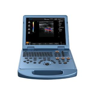 portable ultrasound system