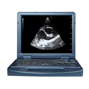 portable veterinary ultrasound system 1