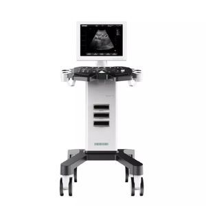on-platform ultrasound system 1