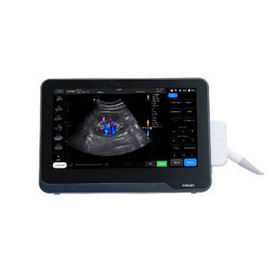 hand-held ultrasound system 1