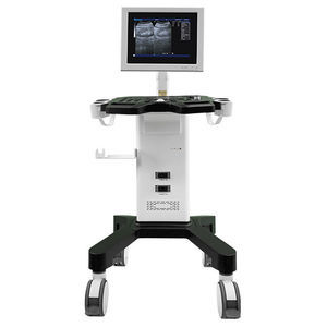 portable, with trolley ultrasound system 1