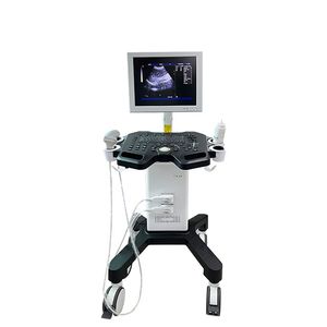 portable, with trolley ultrasound system