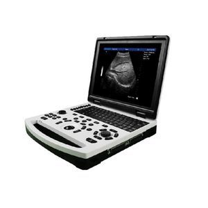 portable ultrasound system 1