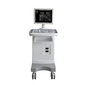 on-platform ultrasound system