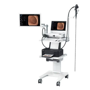 gastroenterological endoscopy column