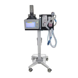 small animal veterinary anesthesia system 1