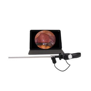 endoscopic camera