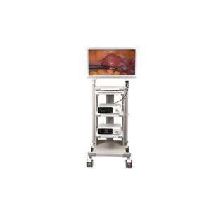 Full HD imaging endoscopy column