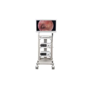portable veterinary theloscope