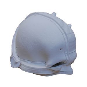 cranial anatomical model