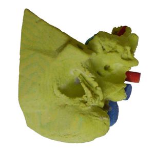 ear model