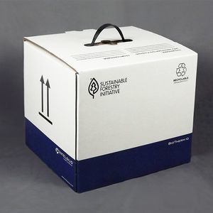 pharmaceutical product packaging box 1