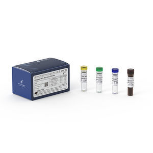 respiratory infection test kit