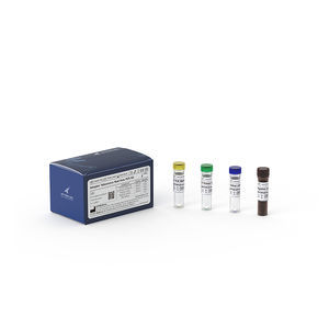 respiratory disease test kit