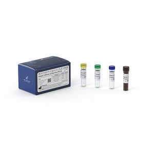respiratory infection test kit
