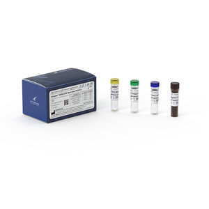 respiratory infection test kit