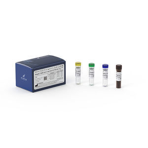 COVID-19 test kit