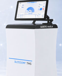 magnetic transcranial magnetic stimulator 1
