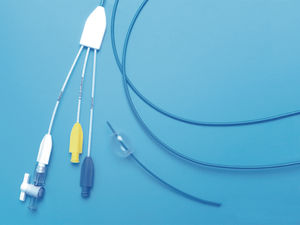 stone extraction catheter