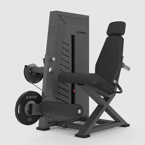 leg extension gym station
