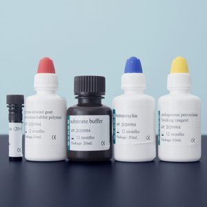 stain reagent kit
