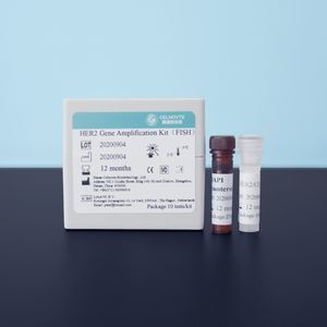 typhoid test kit