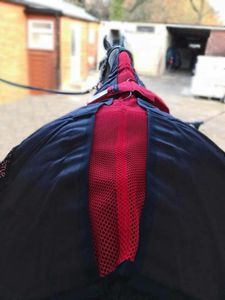 equine Magnetotherapy unit 1