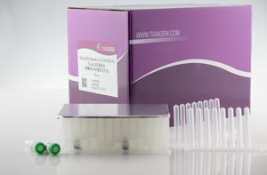 magnetic bead-based reagent kit