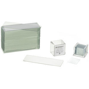 microscope slide 1