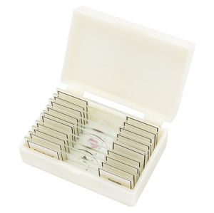 microscope slide