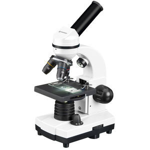 optical microscope