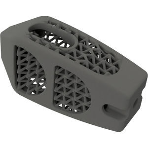 lumbar interbody fusion cage