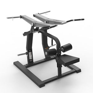 lat pulldown gym station