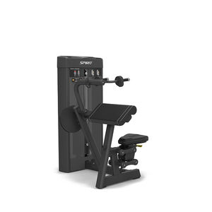 triceps extension gym station