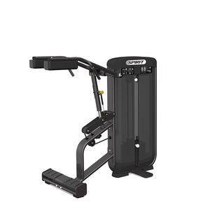 calf raise gym station