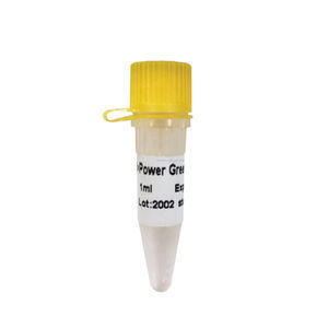 Taq DNA polymerase reagent kit