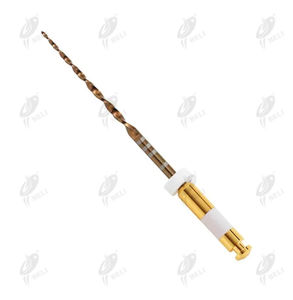 rotary endodontic file 1