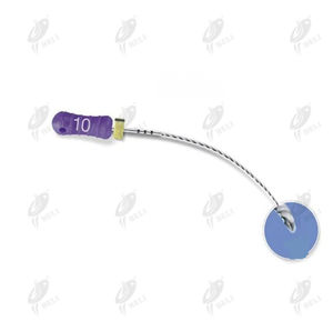 glide path dental file 1