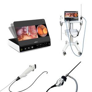 endoscopy video processor