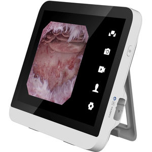 endoscopy video processor