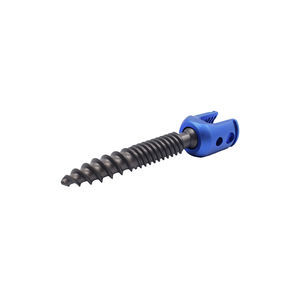 thoracic-lumbar vertebra pedicle screw