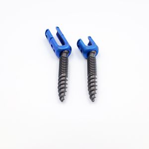 polyaxial pedicle screw
