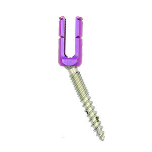 thoraco-lumbar pedicle screw