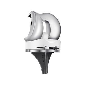 total knee prosthesis