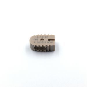 lumbar interbody fusion cage 1