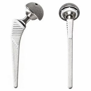 primary hip prosthesis