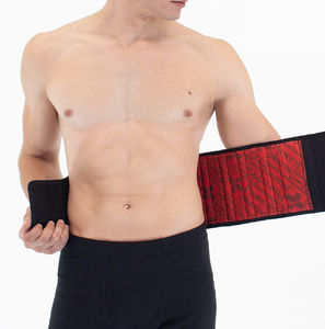 lumbar support belt