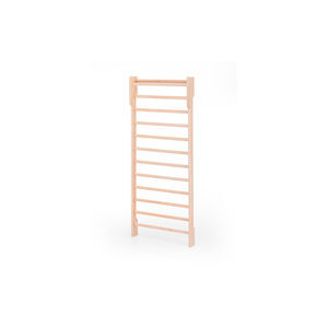 rehabilitation wall bars