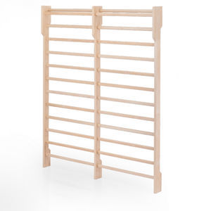 double rehabilitation wall bars