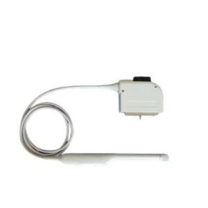 endocavitary ultrasound transducer 1